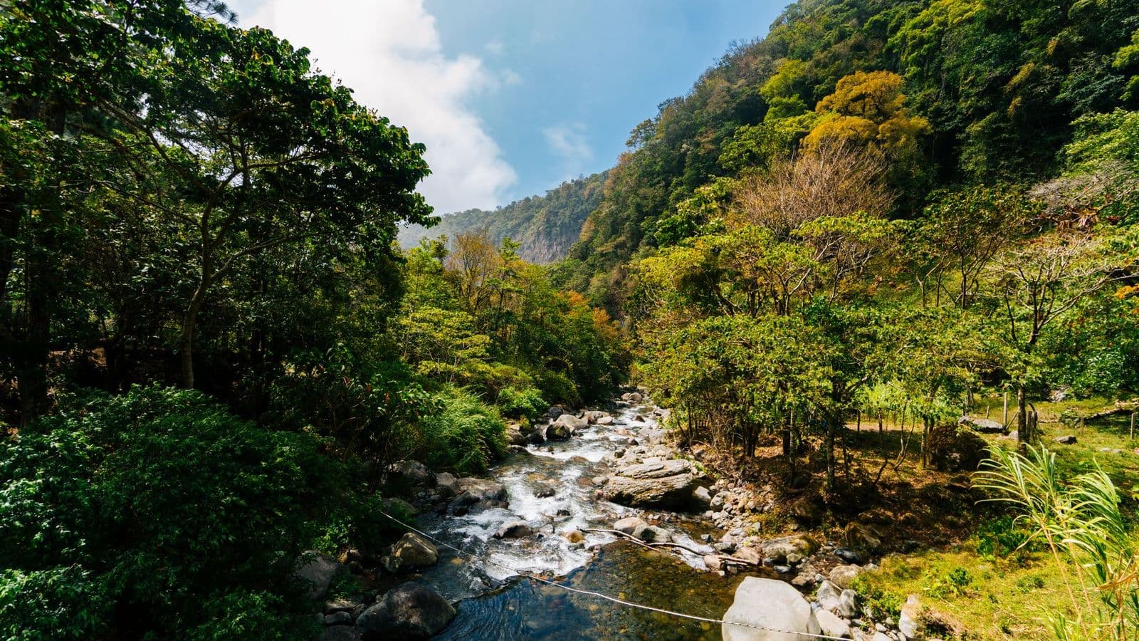 Río entre la vegetación de Boquete, en las montañas de Chiriquí